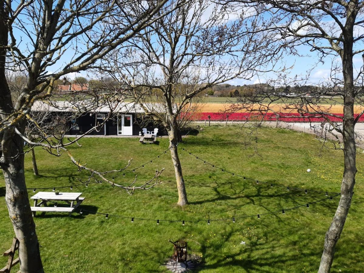 Chalet Egmond Egmond aan den Hoef Esterno foto