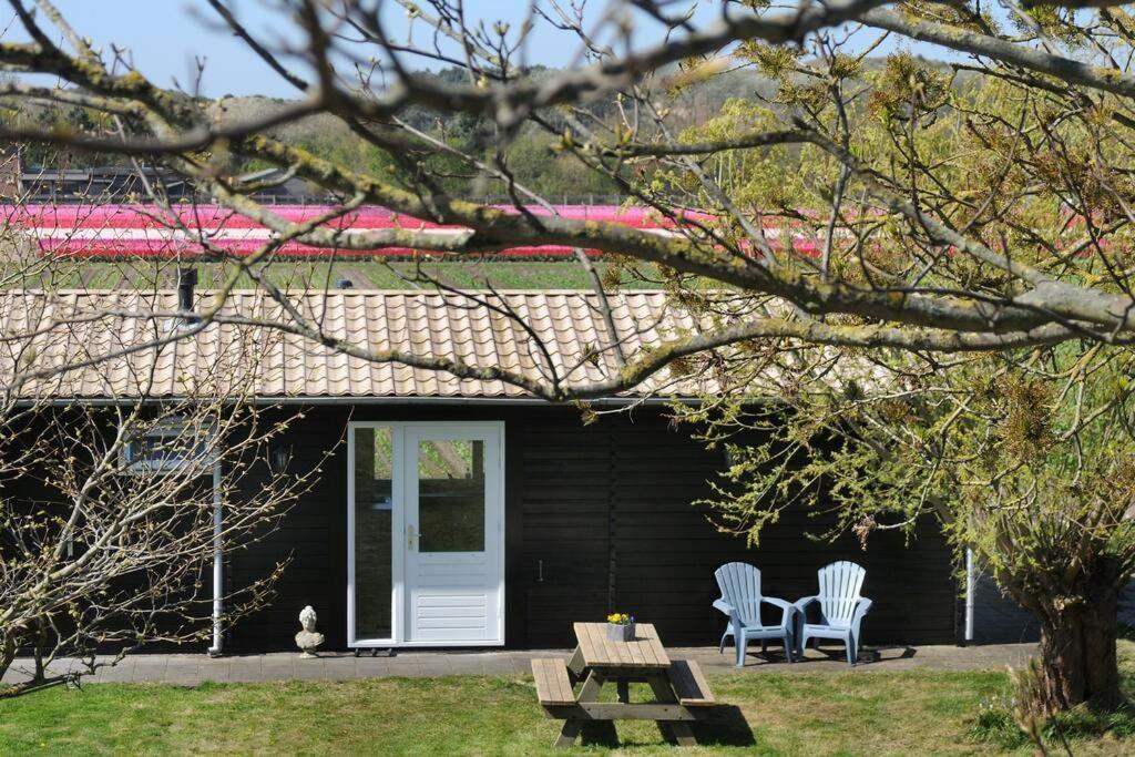 Chalet Egmond Egmond aan den Hoef Esterno foto